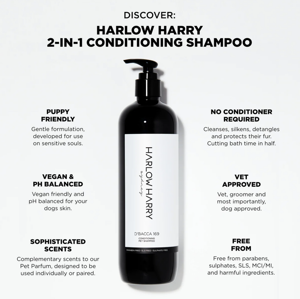 Discover Harlow Harry 2-in-1 Conditioning Shampoo