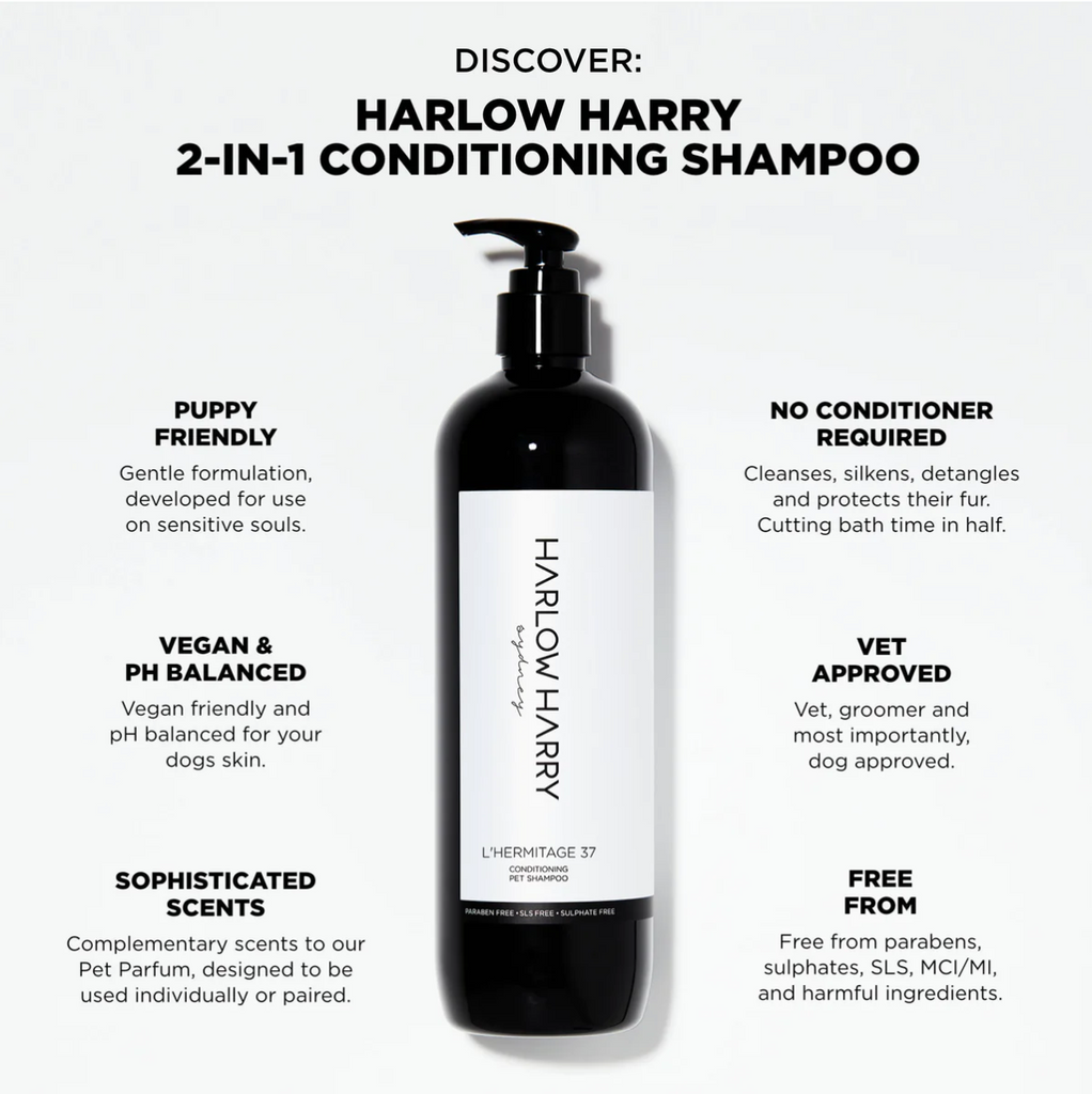 Discover Harlow Harry 2-in-1 Conditioning Shampoo