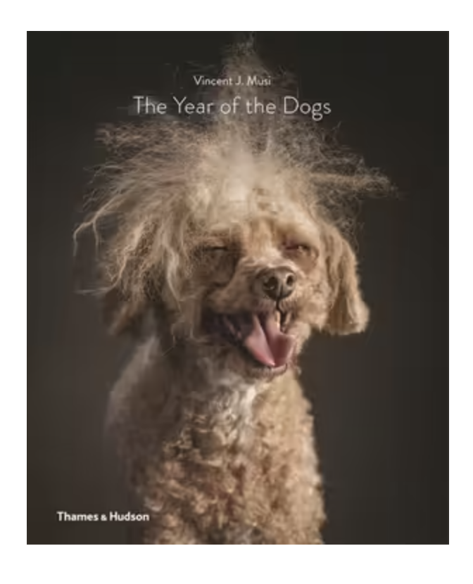 The Year of the Dogs - Vincent J. Musi