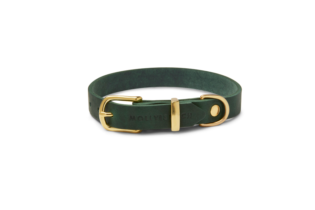 Butter Leather Collar - Forest Green - by Molly and Stitch