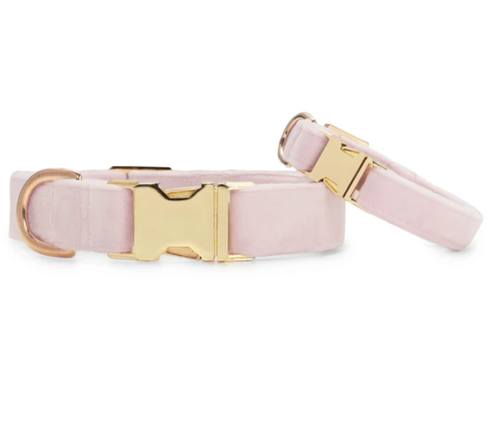 Blush Pink Velvet Dog Collar - Designer Dog Collars NZ